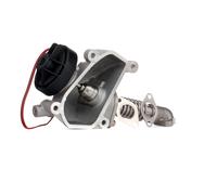 RIDEX Valvola EGR