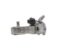 RIDEX 1145E0267 Valvola EGR