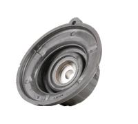 RIDEX 1180S0058 Supporto ammortizzatore per FIAT BRAVO II (198) STILO (192)