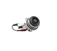 RIDEX 1260W0252 Pompa acqua per VW Golf VII Hatchback (5G1, BQ1, BE1, BE2)