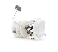 RIDEX 1382F0025 Impianto alimentazione carburante adatto per PEUGEOT 206 CC (2D)