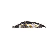 RIDEX 1389T0241 Kit catena distribuzione