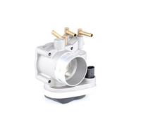 RIDEX 158T0011 Corpo farfallato