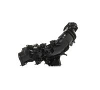 RIDEX 1640F0166 Raccordo, Collettore aspirazione