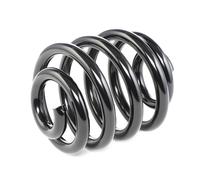 RIDEX 188C0199 Molle ammortizzatori