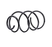 RIDEX 188C0302 Molle ammortizzatori