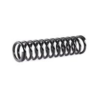 RIDEX 188C0448 Molle ammortizzatori