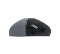 RIDEX 23A0058 Copertura, Specchio esterno