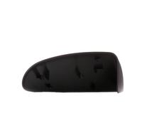 RIDEX 23A0100 Copertura, Specchio esterno