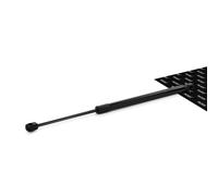 RIDEX 2454G0012 Ammortizzatore pneumatico, Lunotto posteriore