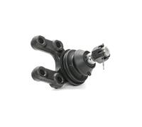 RIDEX 2462S0013 Testina braccio oscillante
