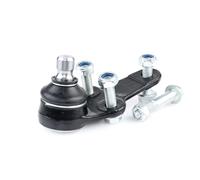 RIDEX 2462S0034 Testina braccio oscillante per FORD FOCUS (DAW, DBW) Anteriore