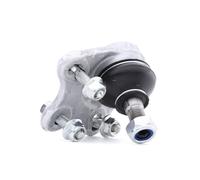 RIDEX 2462S0054 Testina braccio oscillante Anteriore