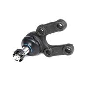 RIDEX 2462S0246 Testina braccio oscillante