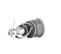 RIDEX 2462S0442 Testina braccio oscillante