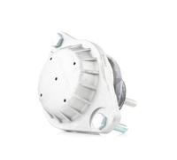 RIDEX 247E0030 Supporto motore