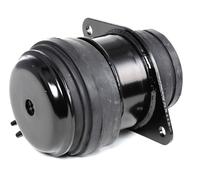 RIDEX 247E0032 Supporto motore