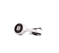 RIDEX 247E0040 Supporto motore