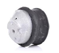 RIDEX 247E0098 Supporto motore