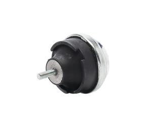 RIDEX 247E0099 Supporto motore