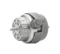 RIDEX 247E0270 Supporto motore