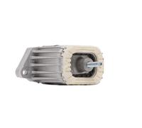 RIDEX 247E0389 Supporto motore