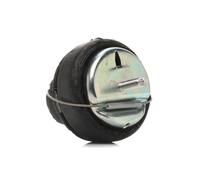 RIDEX 247E0513 Supporto motore