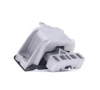 RIDEX 249M0003 Supporto, Cambio