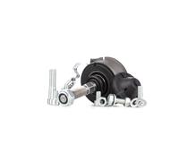RIDEX 2523R0002 Kit riparazione, Giunto di supporto / guida