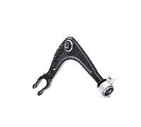 RIDEX 273C1016 Braccio oscillante sospensione ruota Anteriore Sinistra con cuscinetto in gomma senza snodo portante/di guida adatto per PEUGEOT 407 (6D)