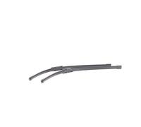 RIDEX 298W0248 Tergicristalli