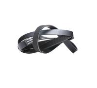RIDEX 305B0285 Cinghia servizi per VW PASSAT (3B3) GOLF II (19E, 1G1) 1750mm