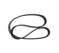 RIDEX 305P0019 Cinghia servizi