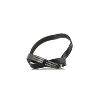 RIDEX 305P0059 Cinghia servizi per VW Golf IV Hatchback (1J1)