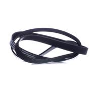 RIDEX 305P0072 Cinghia servizi