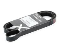 RIDEX 305P0079 Cinghia servizi per VW Golf IV Hatchback (1J1) 1660mm