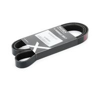 RIDEX 305P0079 Cinghia servizi per VW Golf IV Schrägheck (1J1) PASSAT (3B3)