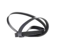 RIDEX 305P0083 Cinghia servizi per VW Polo Hatchback (6R1, 6C1) 1740mm