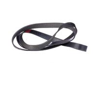 RIDEX 305P0095 Cinghia servizi