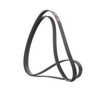 RIDEX 305P0100 Cinghia servizi