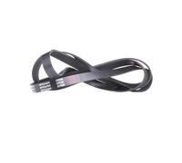 RIDEX 305P0103 Cinghia servizi per VW PASSAT (3B3) 2400mm