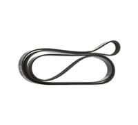 RIDEX 305P0108 Cinghia servizi adatto per MERCEDES-BENZ Classe G SUV (W463)