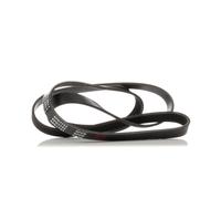 RIDEX 305P0121 Cinghia servizi per VW Polo Schrägheck (6R1, 6C1) GOLF VI (5K1)