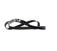 RIDEX 305P0144 Cinghia servizi