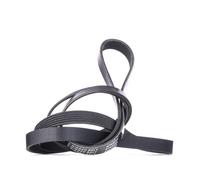 RIDEX 305P0145 Cinghia servizi adatto per MERCEDES-BENZ VIANO (W639) Sp ANTOS