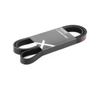 RIDEX 305P0146 Cinghia servizi adatto per MERCEDES-BENZ G-Klasse SUV (W463)