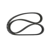 RIDEX 305P0153 Cinghia servizi per VW Transporter V Van (7HA, 7HH, 7EA, 7EH)