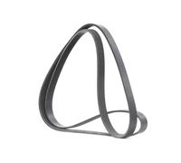 RIDEX 305P0157 Cinghia servizi