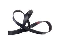 RIDEX 305P0170 Cinghia servizi Compatibilità con VW Transporter IV Bus 70B, 70C, 7DB, 7DK, 70J, 70K, 7DC, 7DJ