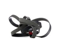 RIDEX 305P0206 Cinghia servizi per VW Touareg (7LA, 7L6, 7L7) 2490mm